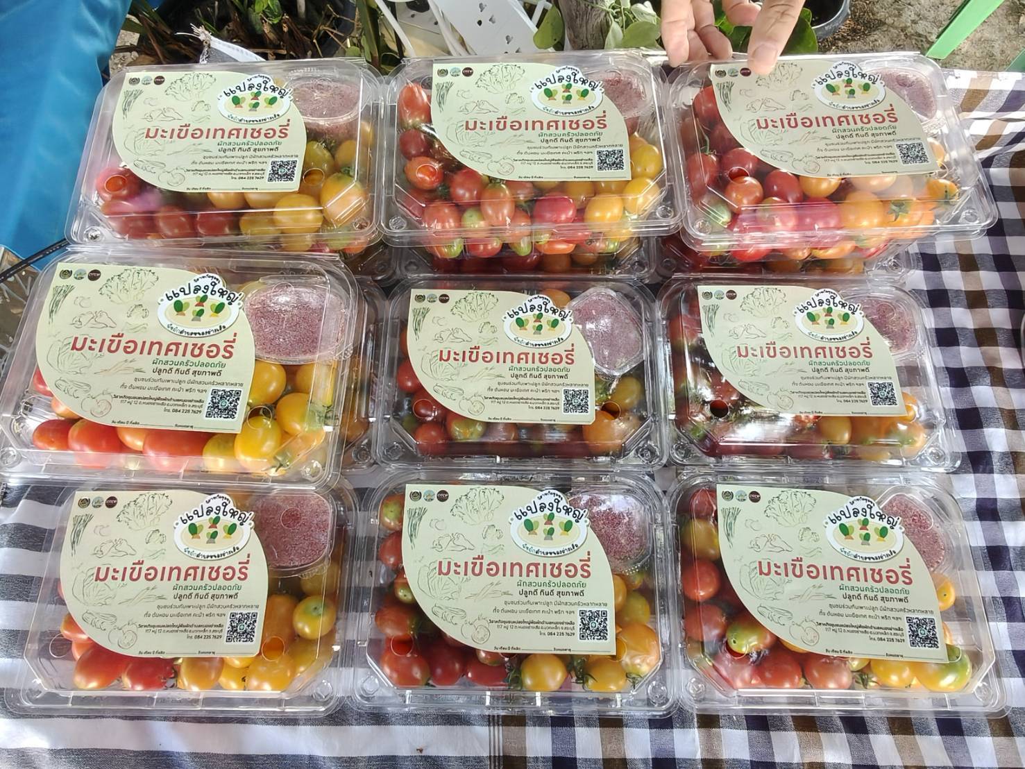 title - ผู้ตรวจราชการ ส.ป.ก. ลงพื้นที่ตรวจเยี่ยมและให้กำลังใจกลุ่มเกษตรกรในเขตปฏิรูปที่ดินอำเภอมวกเหล็ก จังหวัดสระบุรี และประชุมตรวจติดตามความก้าวหน้าผลการดำเนินงานตามแผนการตรวจราชการ ประจำปีงบประมาณ พ.ศ. 2569 รอบที่ 1 เขตตรวจราชการที่ 1 จังหวัดสระบุรี 